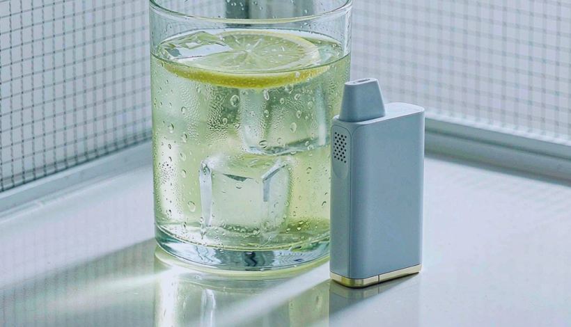 Kenya Tourist Portable Vape Wholesale: Sampling before You Commit — Kenya Tourist Gift Portable Vape Bulk